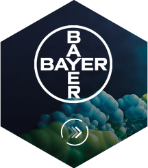 bayer